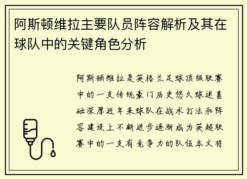阿斯顿维拉主要队员阵容解析及其在球队中的关键角色分析
